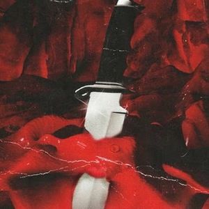 Meet your Posher, Keri